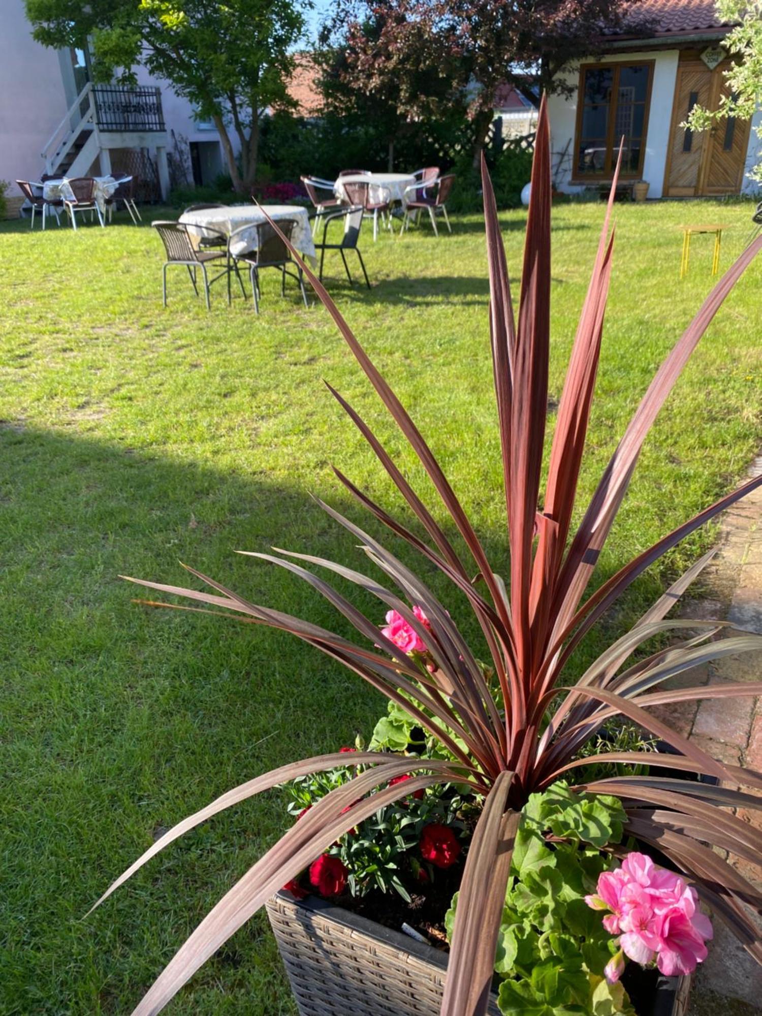 Guest House Wiejska Sielanka Brody  المظهر الخارجي الصورة
