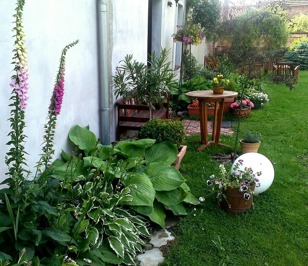Guest House Wiejska Sielanka Brody  المظهر الخارجي الصورة